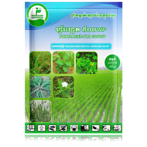 Fortarget Pro 500 WP