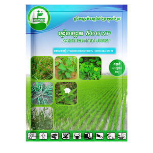 Fortarget Pro 500 WP