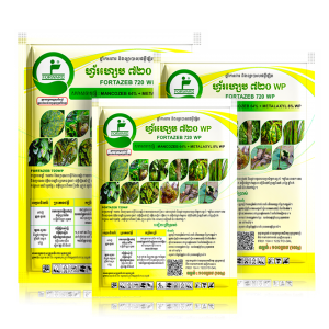 ហ្វ័រហ្សេប FORTAZEB 720WP