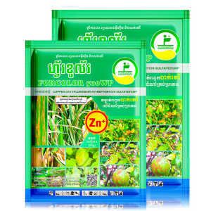 Forcolor 500 WP 25g