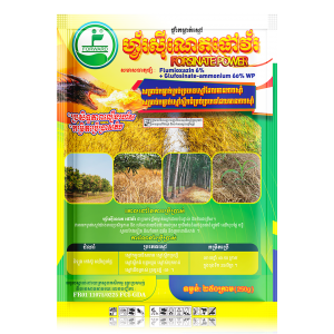 Forsinate power ហ្វ័រស៊ីណេតផៅវ័រ