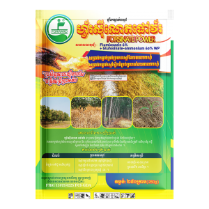 Forsinate power ហ្វ័រស៊ីណេតផៅវ័រ