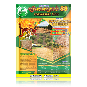 Forwasate G88 ហ្វ័រសាតគ្រាប់ 88