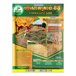 Forwasate G88 ហ្វ័រសាតគ្រាប់ 88