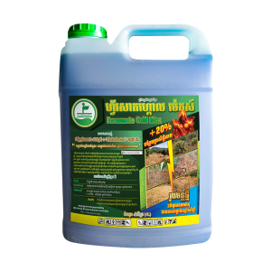 Forwasate Gold Max ហ្វ័រសាតហ្គោល ម៉េកស៍