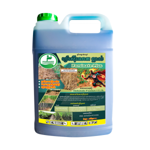 ហ្វ័រស៊ីណេត Plus 4L
