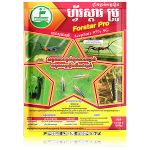 ហ្វ័រស្តារ ប្រូ 100g