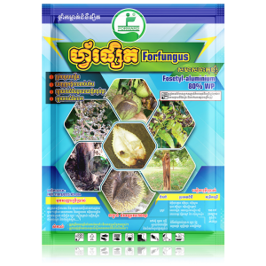 Forfungus ហ្វ័រផ្សិត