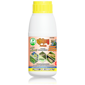 Forindo Bottle