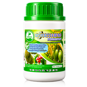ហ្វ័រហាវេស FORHARVEST