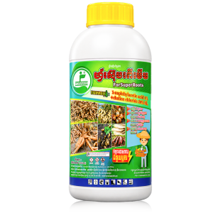 ForsuperRoots for WEB