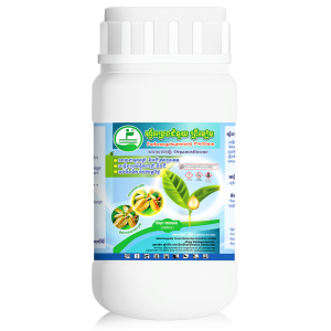 ហ្វ័រប្រេងជំនួយព្រីមៀម Forbrengchumnouy Premium